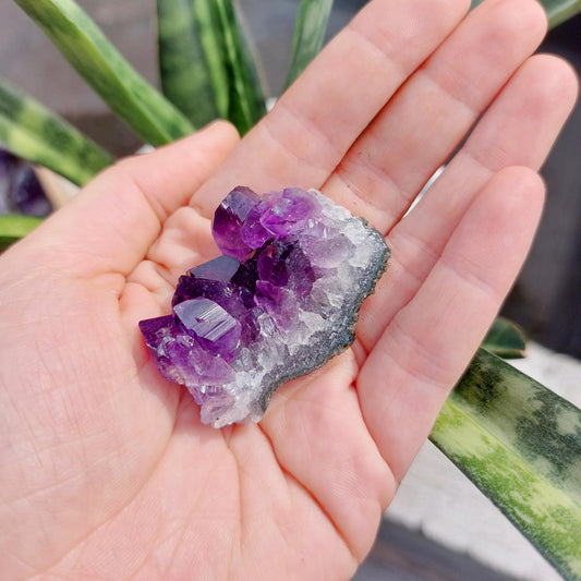 Amethyst Geode Cluster Display - SMALL