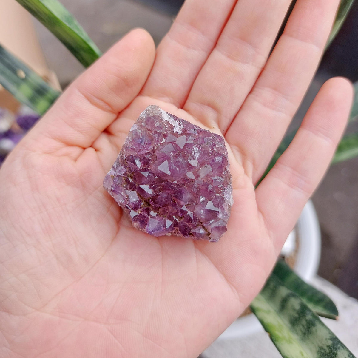 Amethyst Geode Cluster Display - SMALL