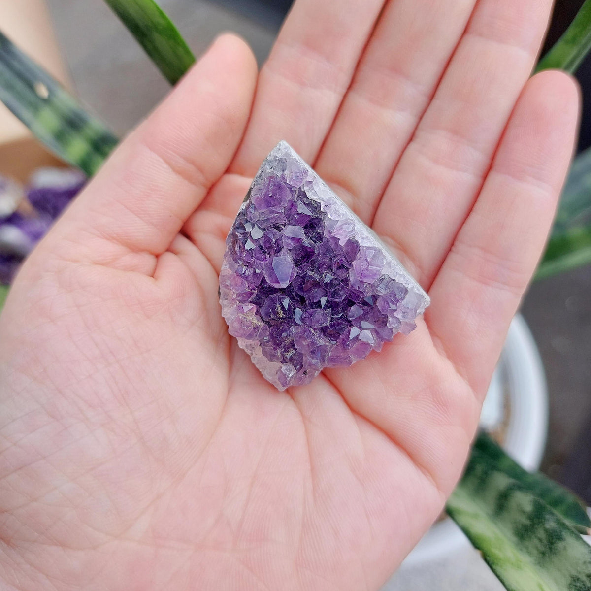 Amethyst Geode Cluster Display - SMALL