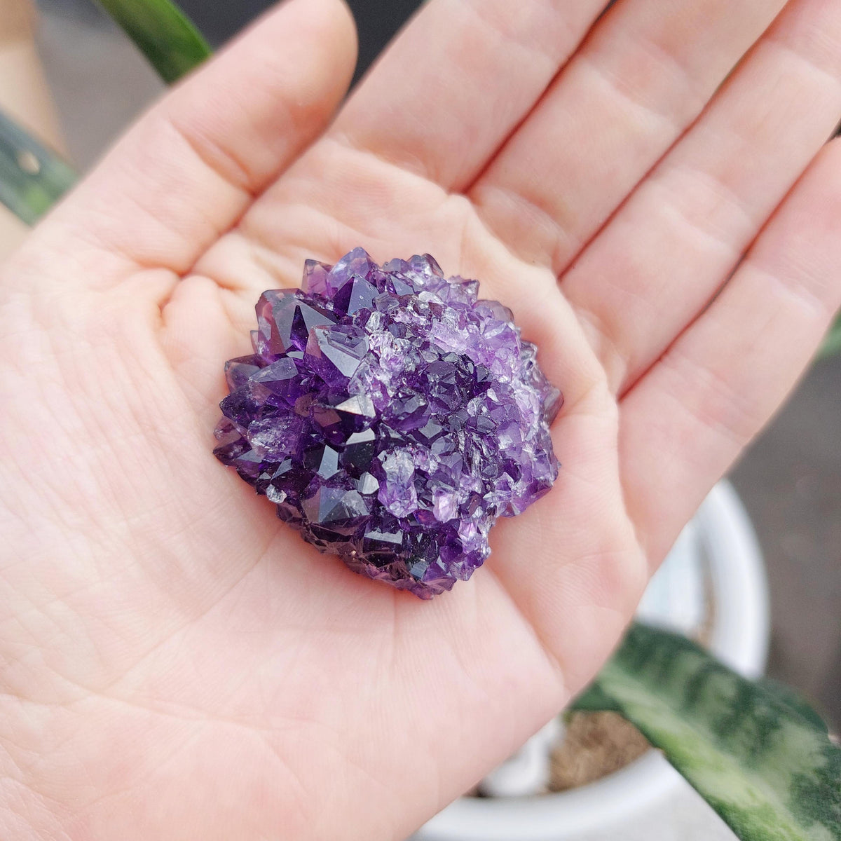 Amethyst Geode Cluster Display - SMALL