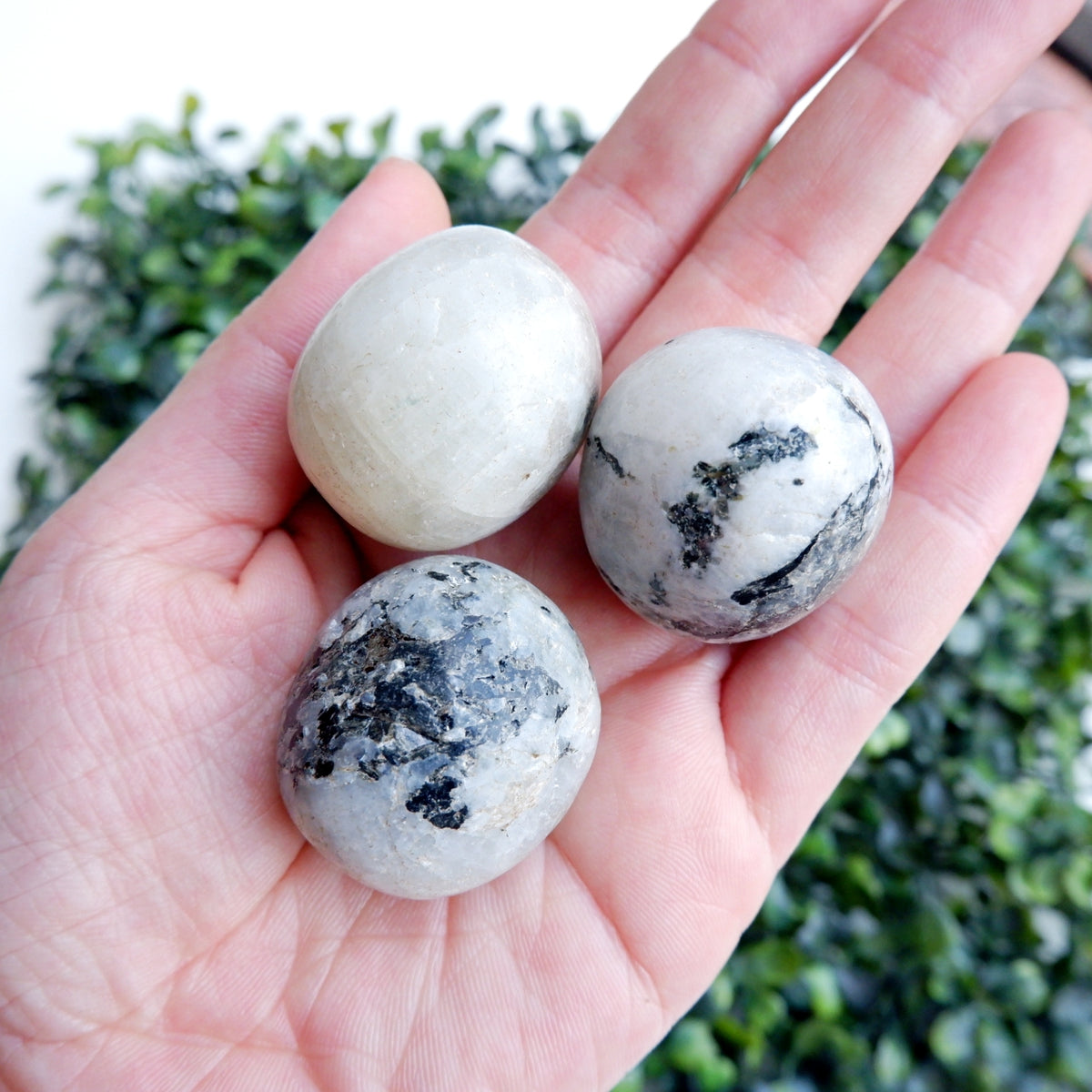 Moonstone Tumbled Stones -Big
