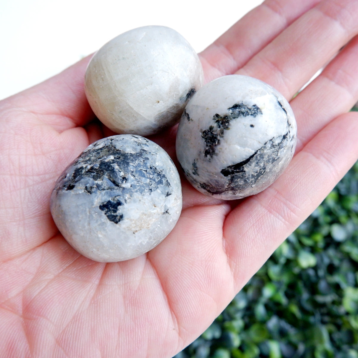 Moonstone Tumbled Stones -Big
