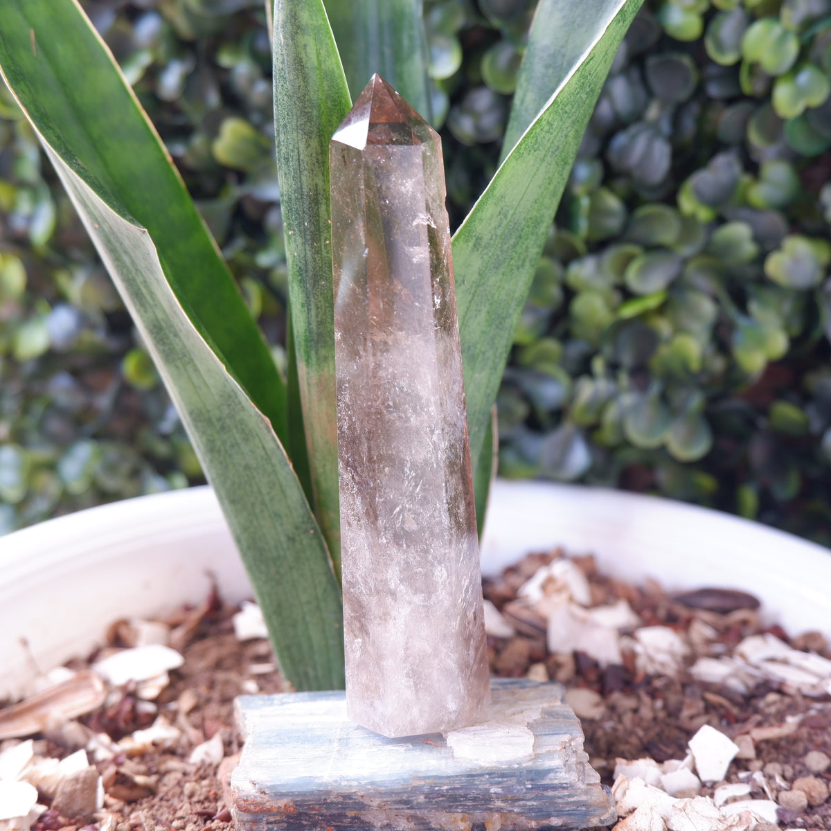 Smokey Terminated Tower Quartz