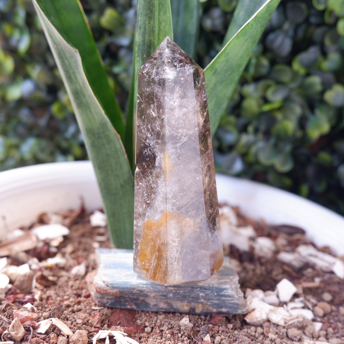 Smokey Terminated Tower Quartz