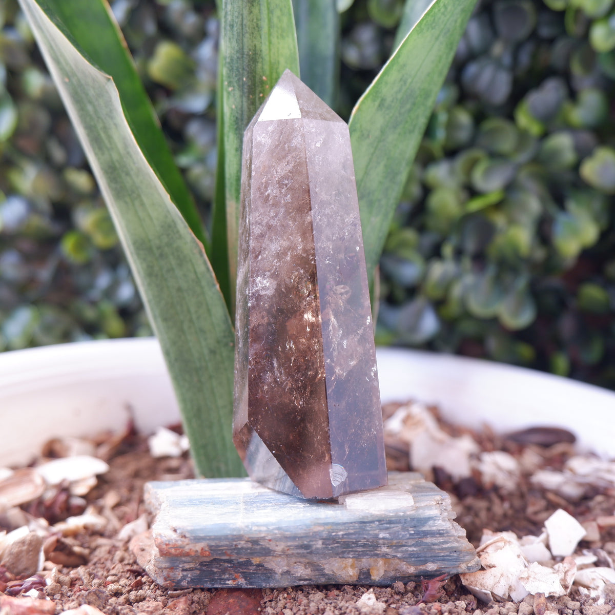 Smokey Terminated Tower Quartz