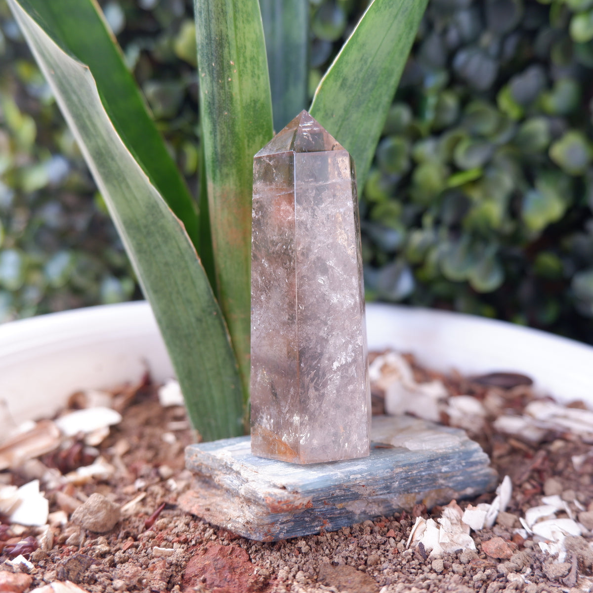 Smokey Terminated Tower Quartz