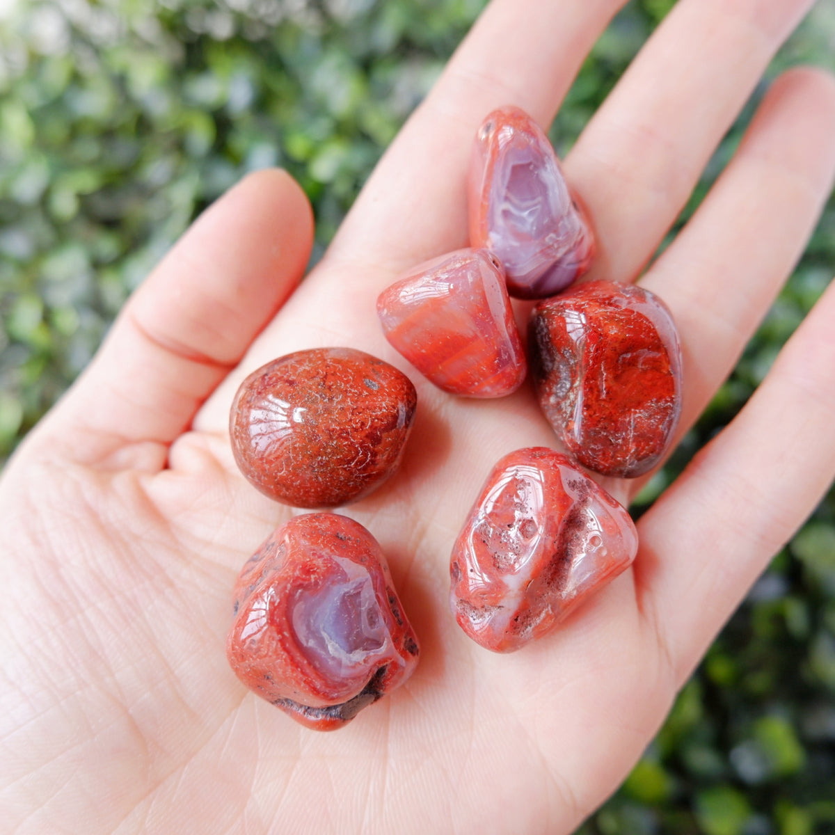 Carnelian Red Agate Tumble Stone