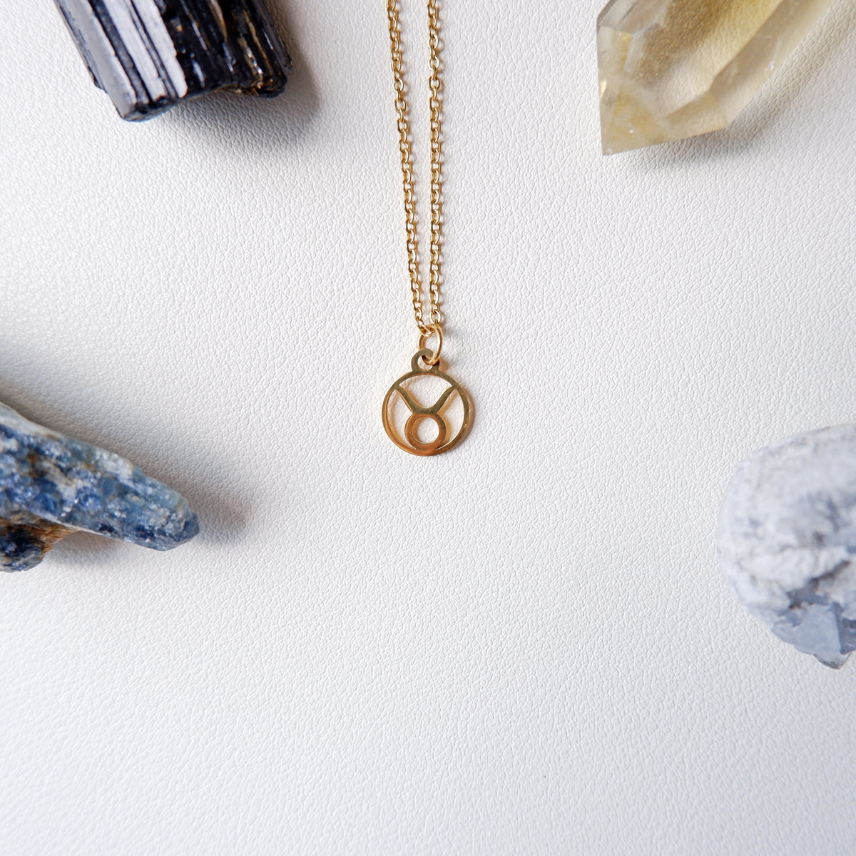 Zodiac Sign Stainless Necklaces