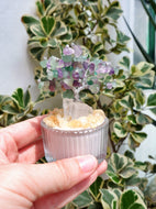 🌳 Crystal Tree 2.0 – Create Your Own Tree of Intentions