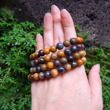 Petrified Wood Jasper Crystal Bracelet - 8mm