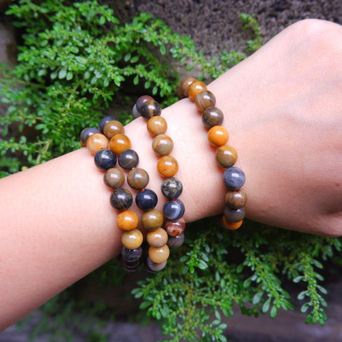 Petrified Wood Jasper Crystal Bracelet - 8mm