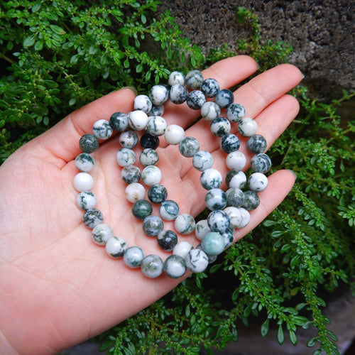 Tree Agate Crystal Bracelet - 8mm