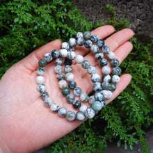 Tree Agate Crystal Bracelet - 8mm