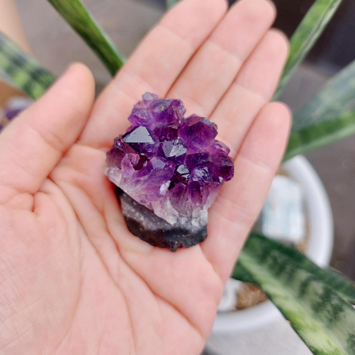 Amethyst Geode Cluster Display - SMALL