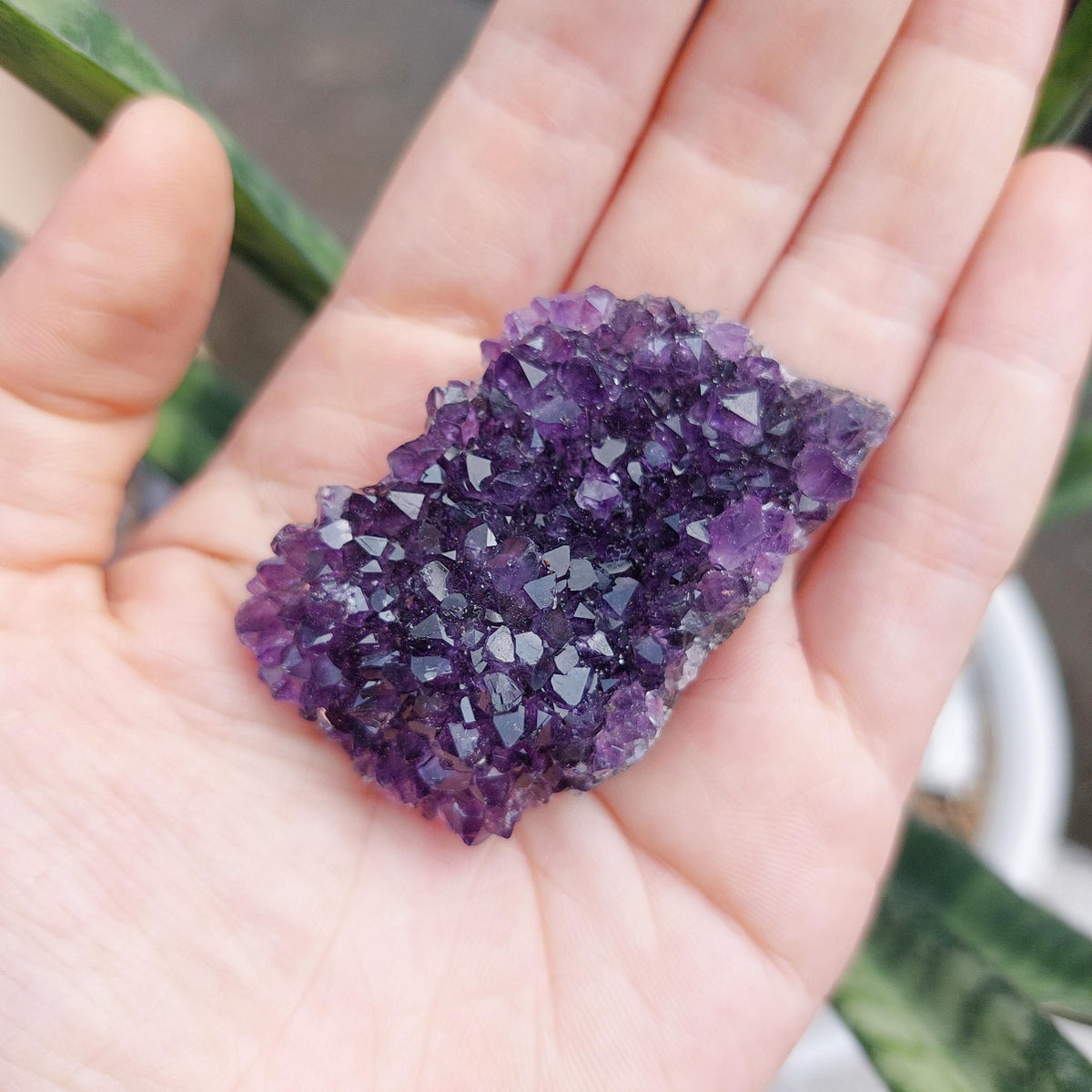 Amethyst Geode Cluster Display - SMALL