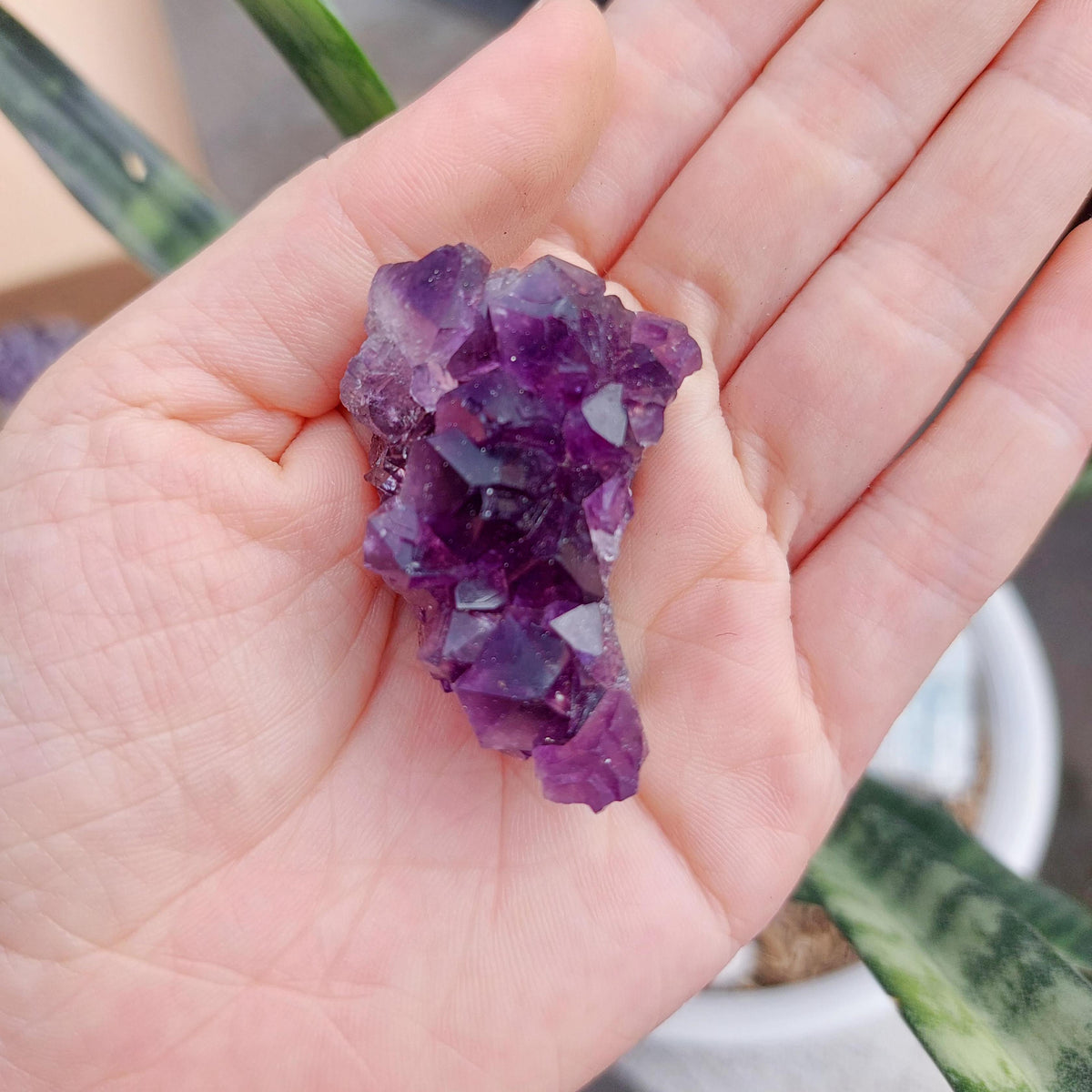 Amethyst Geode Cluster Display - SMALL