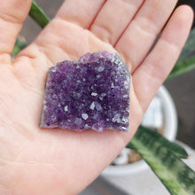 Amethyst Geode Cluster Display - SMALL