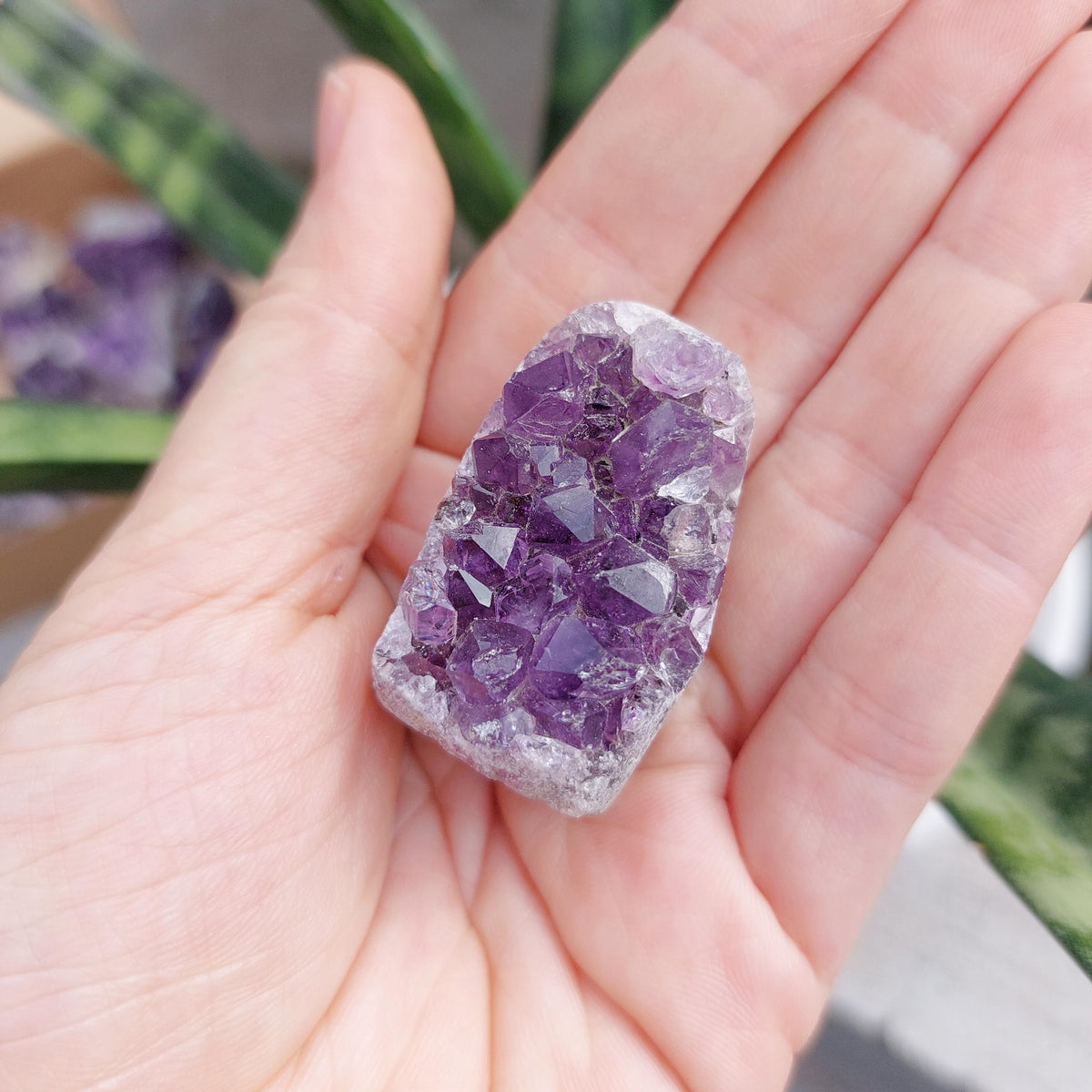 Amethyst Geode Cluster Display - SMALL