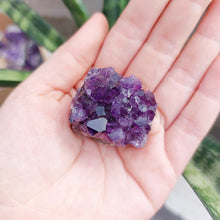 Amethyst Geode Cluster Display - SMALL