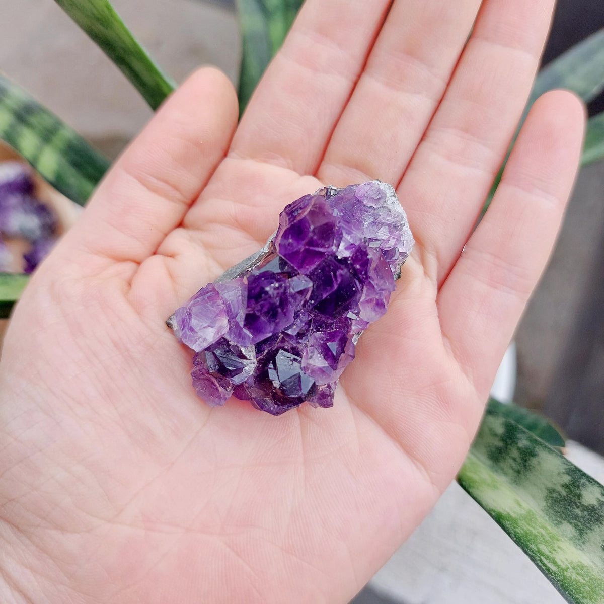 Amethyst Geode Cluster Display - SMALL