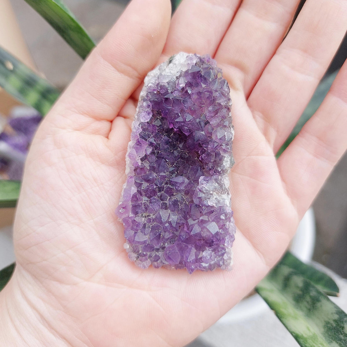 Amethyst Geode Cluster Display - SMALL