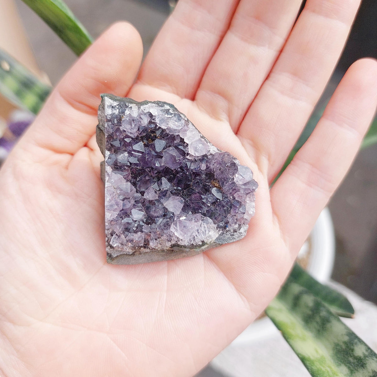 Amethyst Geode Cluster Display - SMALL