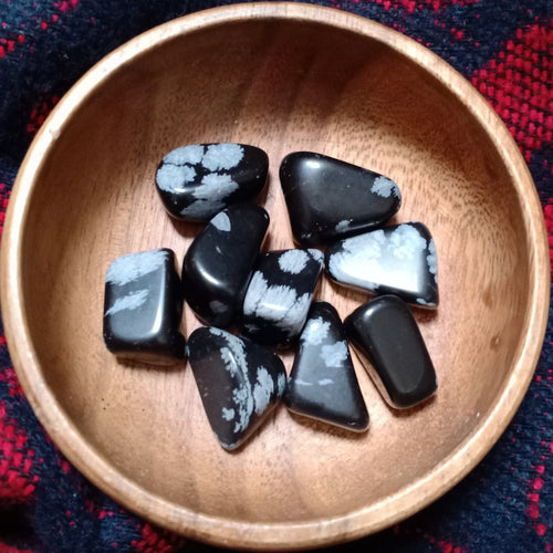 Tumbled Stone - Snowflake Obsidian