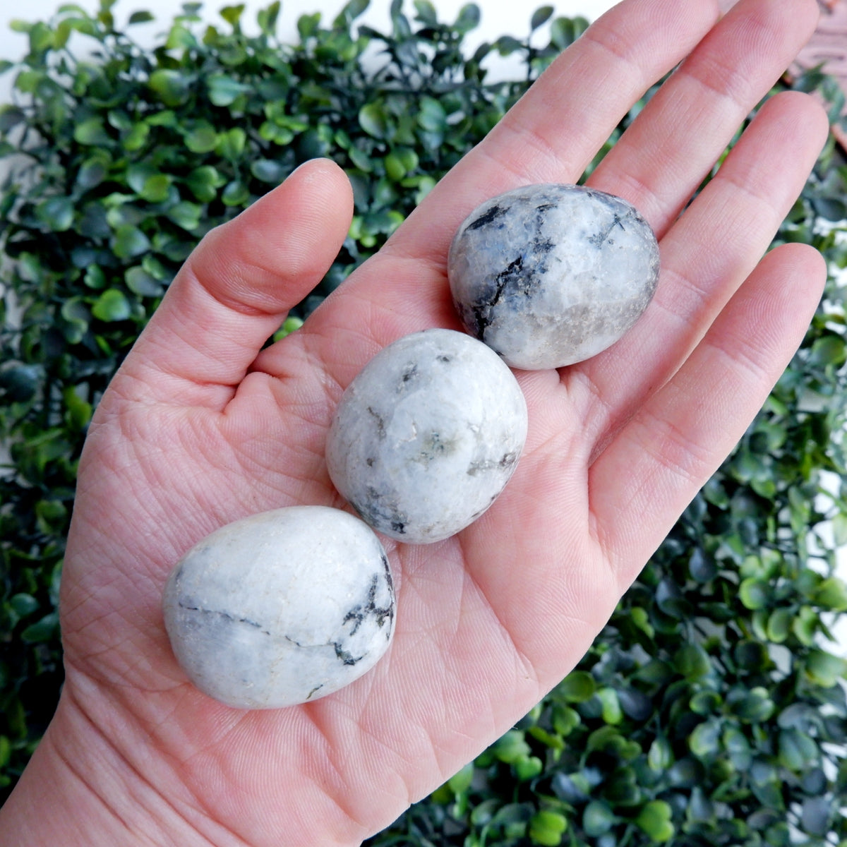 Moonstone Tumbled Stones -Big