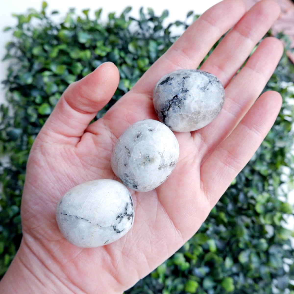 Moonstone Tumbled Stones -Big