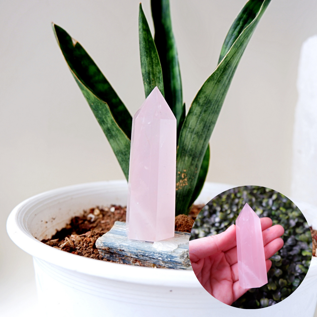 Rose Quartz Terminated Tower Crystal