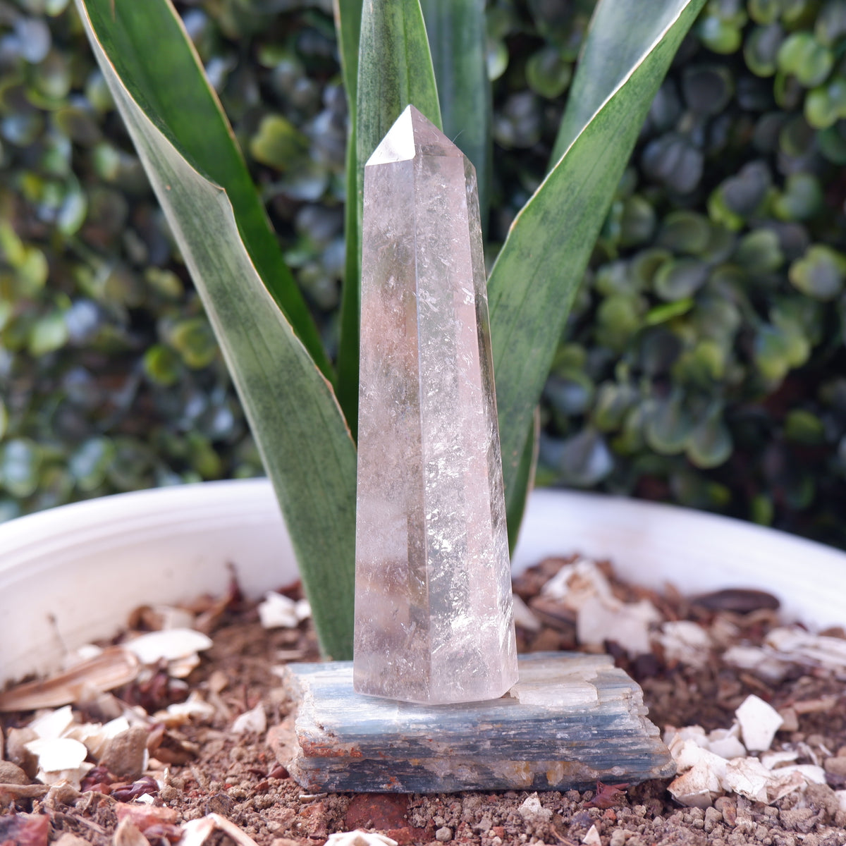 Smokey Terminated Tower Quartz