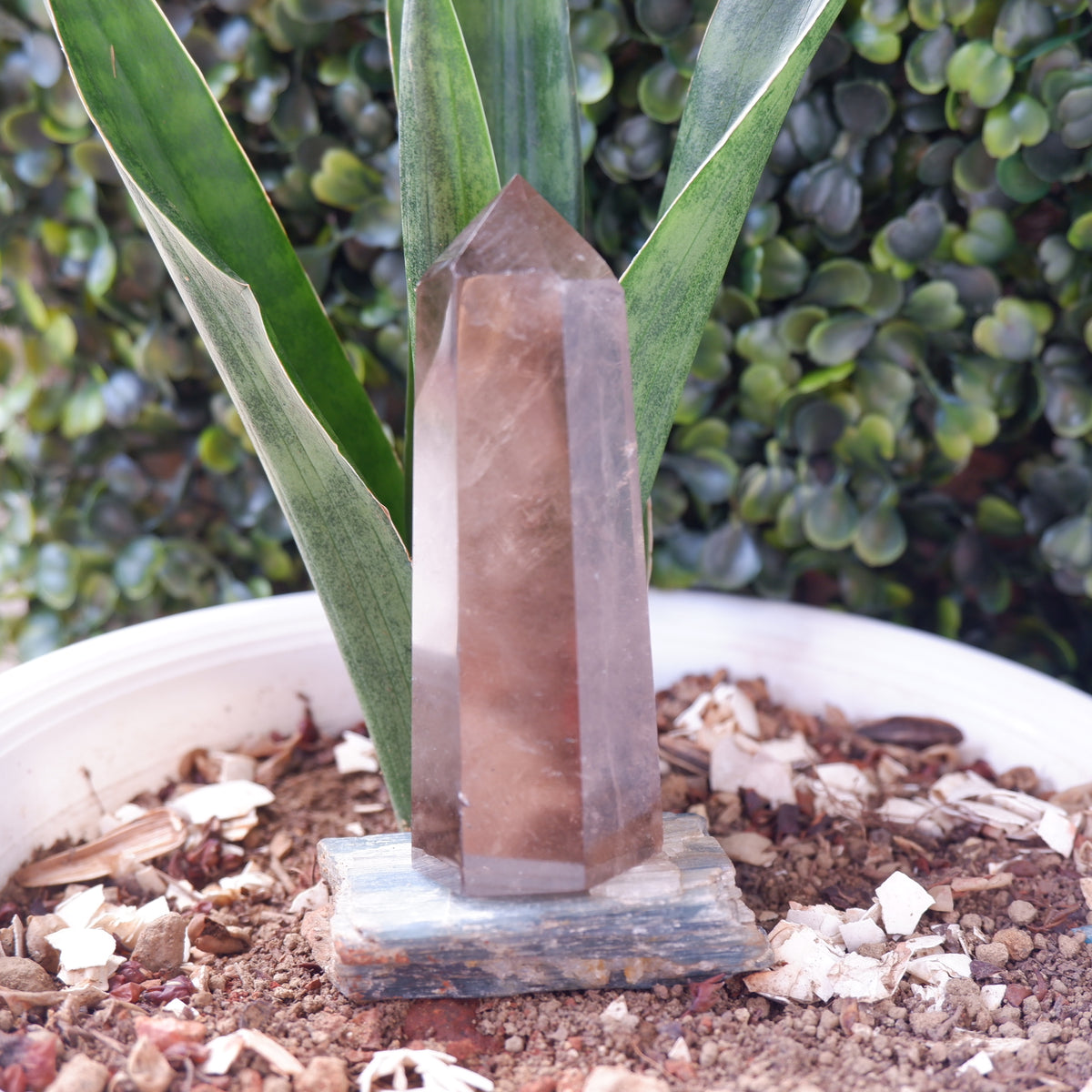 Smokey Terminated Tower Quartz
