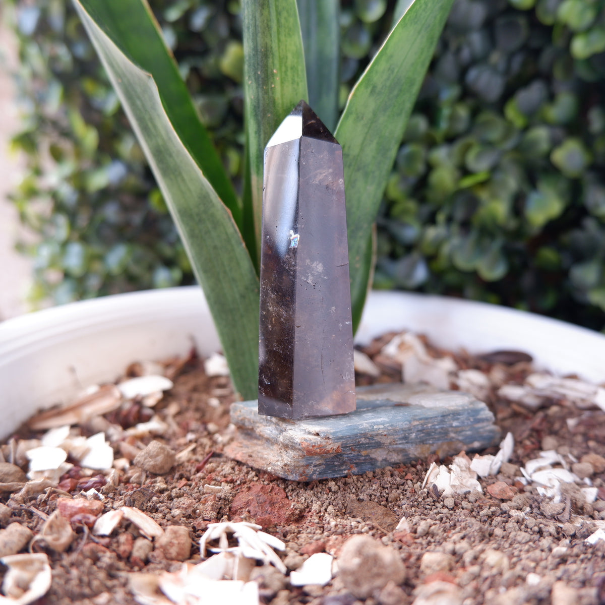 Smokey Terminated Tower Quartz