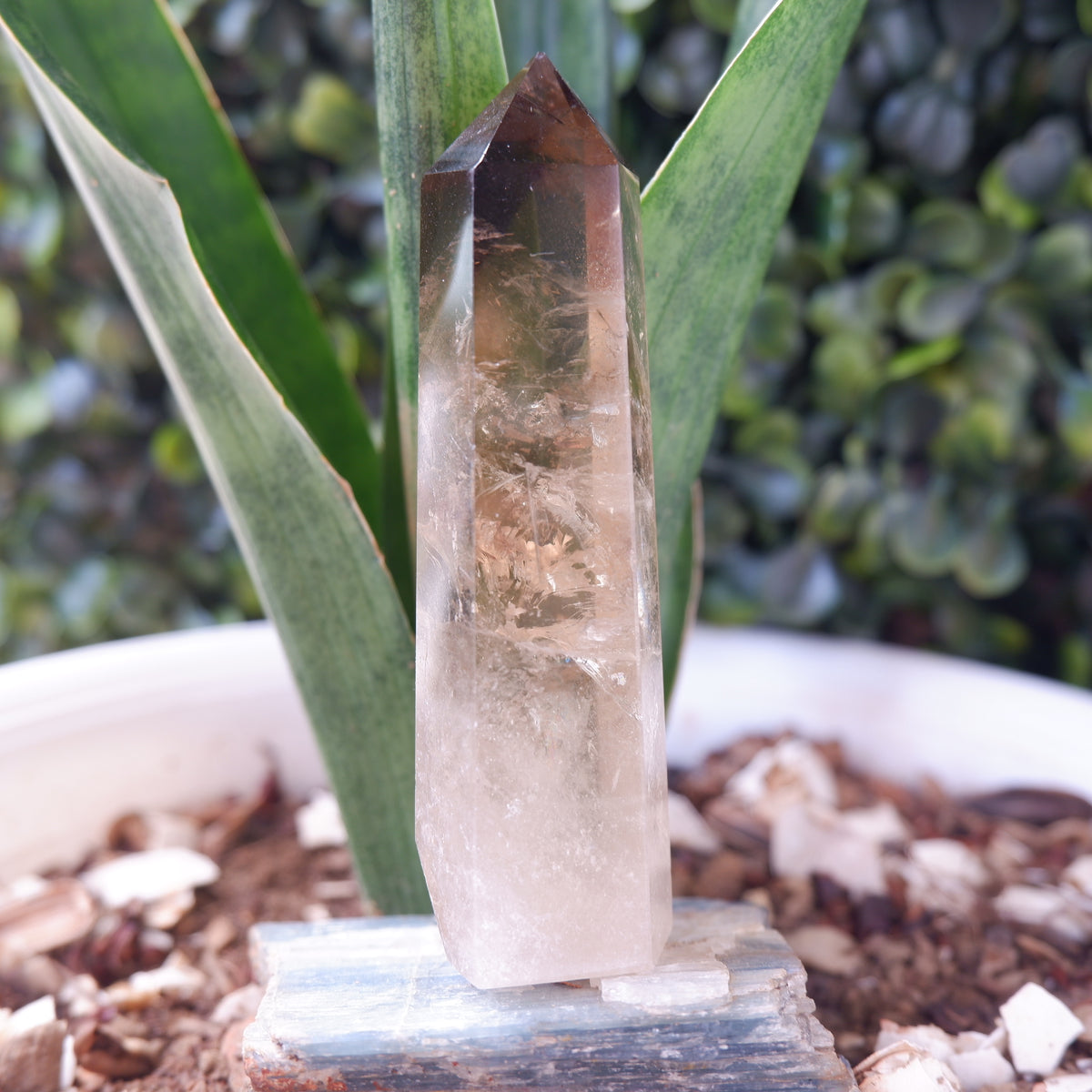 Smokey Terminated Tower Quartz