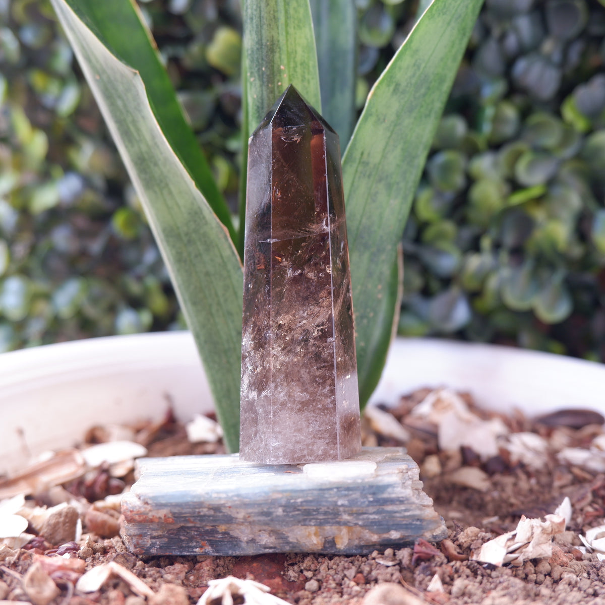 Smokey Terminated Tower Quartz