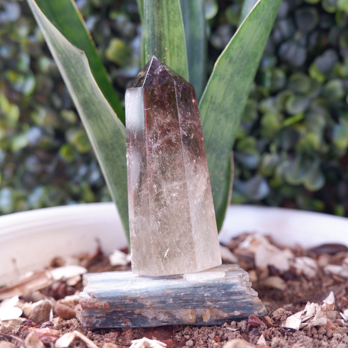 Smokey Terminated Tower Quartz