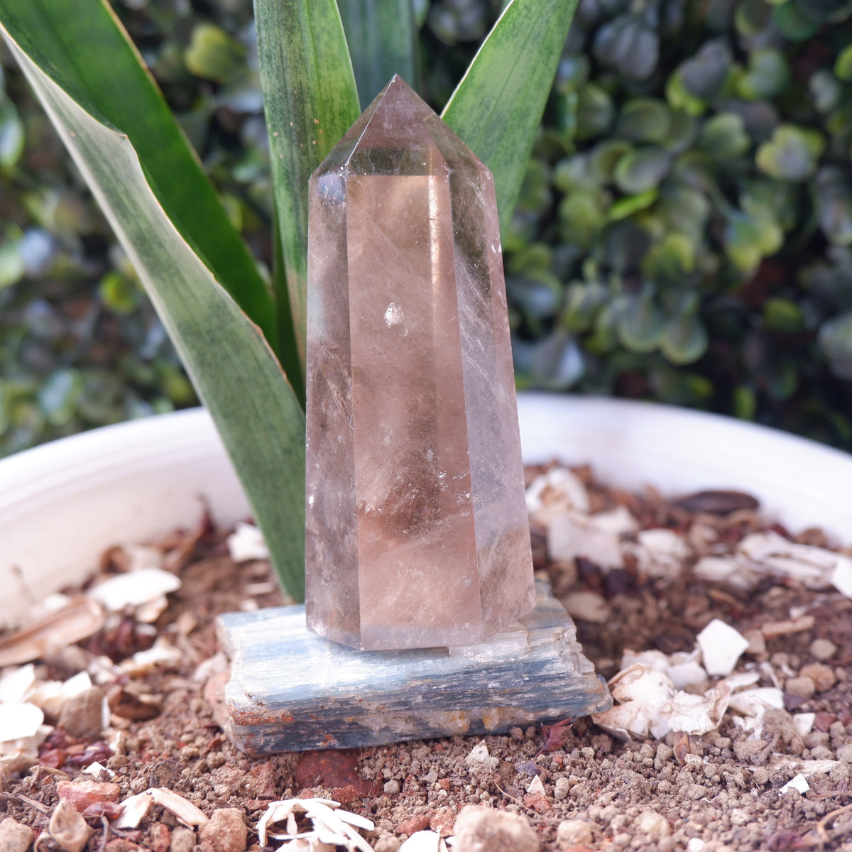 Smokey Terminated Tower Quartz