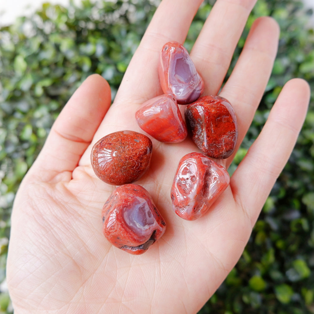 Carnelian Red Agate Tumble Stone