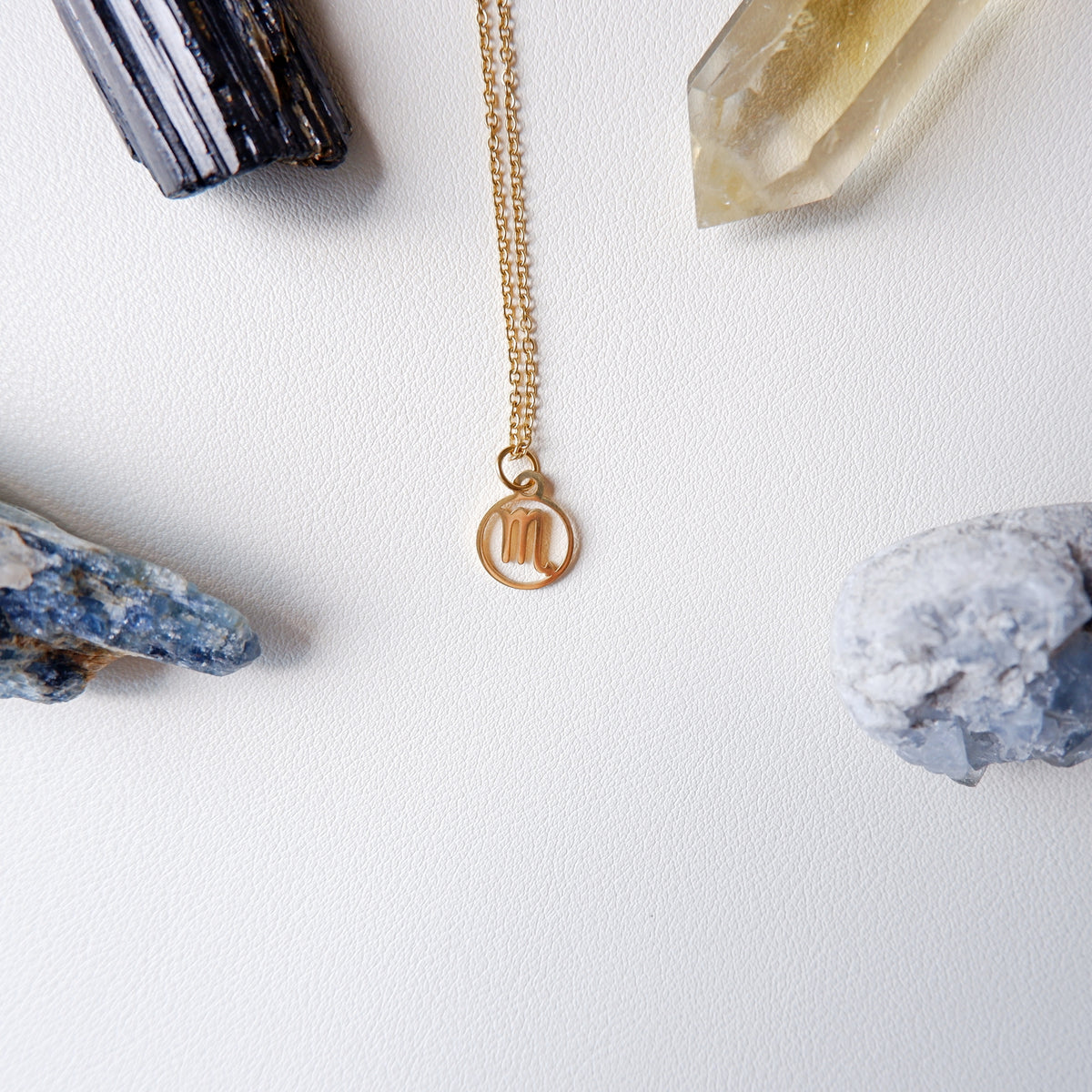 Zodiac Sign Stainless Necklaces